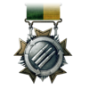 Support Service Medal (1)